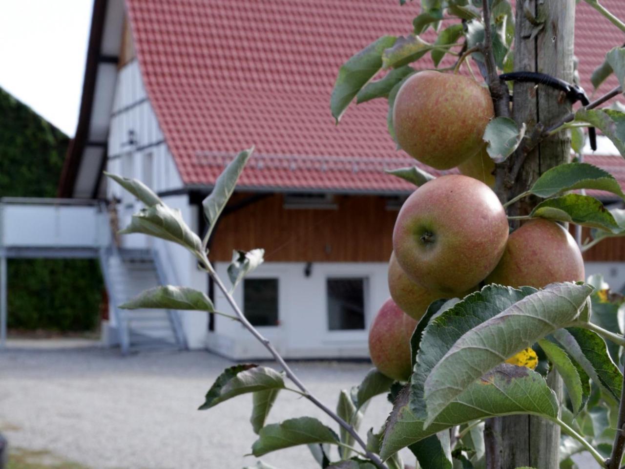 Ferienhof Waggershauser Friedrichshafen Bagian luar foto